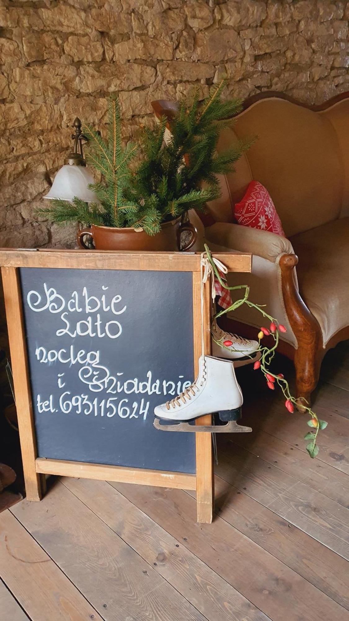 Babie Lato B&B Uniejow Exteriör bild